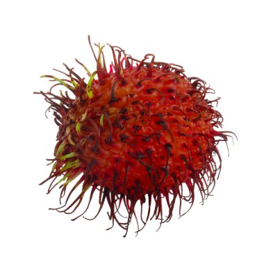 Lychee meyvesi beyaz arkaplanda izole