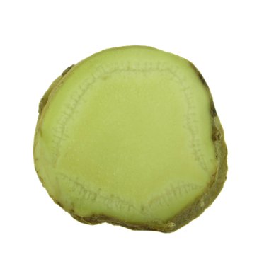 arka planda aromatik bitki, yakın