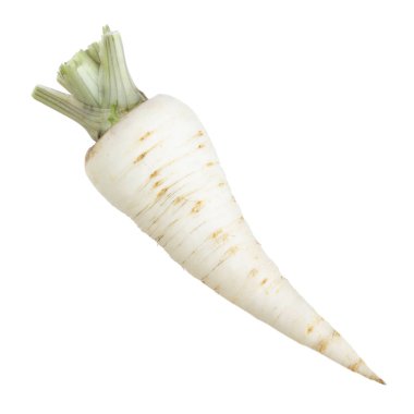 Beyaz arkaplanda izole edilmiş maydanoz kökü
