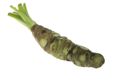 beyaz arka planda izole wasabi kökü, yakın çekim  