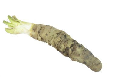 beyaz arka planda izole wasabi kökü, yakın çekim  