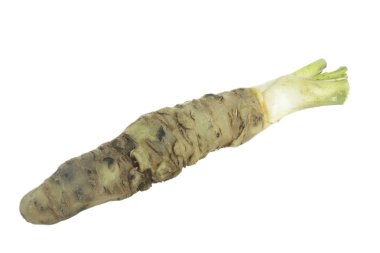 beyaz arka planda izole wasabi kökü, yakın çekim  