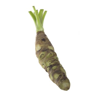 beyaz arka planda izole wasabi kökü, yakın çekim  