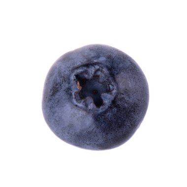 Beyaz arka plan üzerinde izole bir yaban mersini