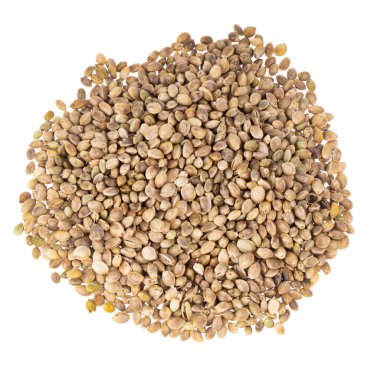 arka planda esrar ot, yakın