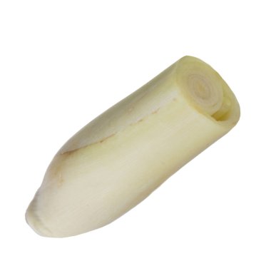 arka planda taze citronella, yakın