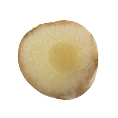 beyaz arka planda izole galanga kökü, yakın çekim  