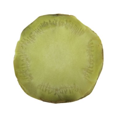 arka planda aromatik bitki, yakın