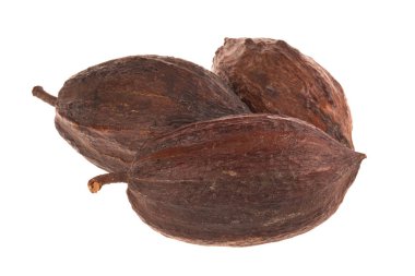 arka planda organik kakao, yakın