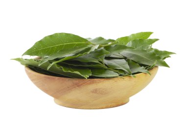 arka planda aromatik bitki, yakın