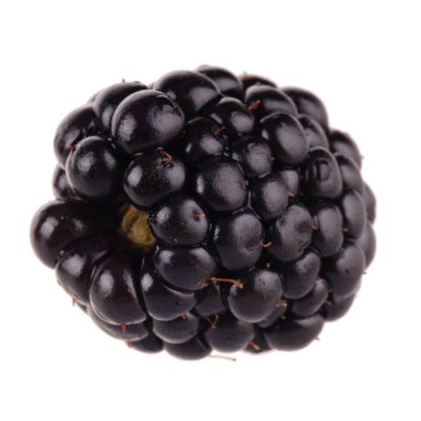 Beyaz arka plan üzerinde izole bir böğürtlen