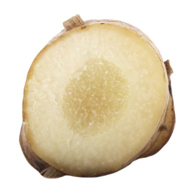 beyaz arka planda izole galanga kökü, yakın çekim  