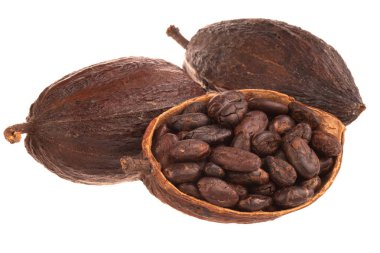 arka planda organik kakao, yakın