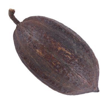 arka planda organik kakao, yakın