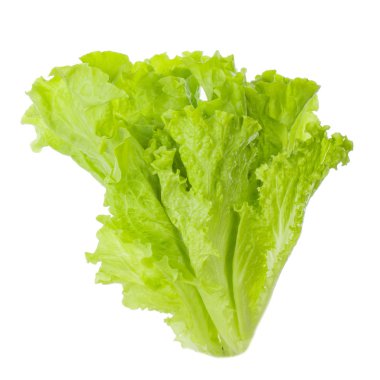 Beyaz arkaplanda salata yaprakları izole