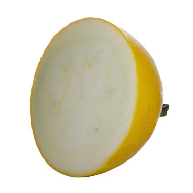 arka planda taze ilik, yakın