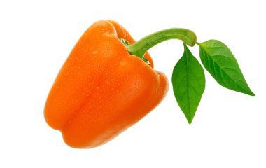 Beyaz arka planda izole edilmiş dolmalık biberin yakın çekimi, yakın çekim 