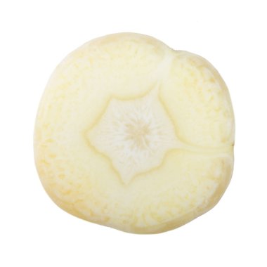 maydanoz kökü dilimi beyaz arka plan üzerinde izole