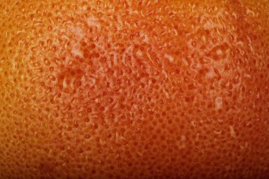 turuncu olgun greyfurt arka plan, yakın görünüm