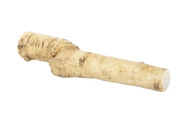 beyaz arka planda izole sebze kökü