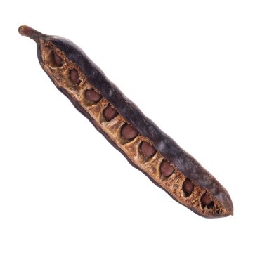 arka planda kuru keçiboynuzu, yakın