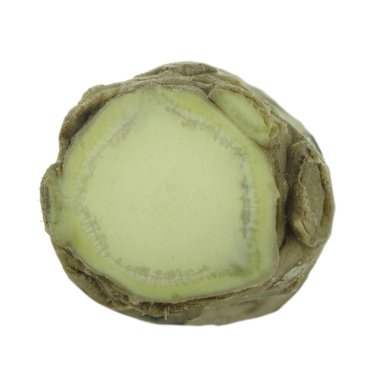 beyaz arka planda izole wasabi kökü, yakın çekim  