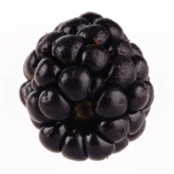 Een Blackberry Geïsoleerd Witte Achtergrond — Stockfoto