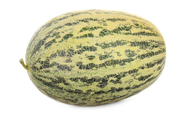 Melon Frukt Närbild — Stockfoto