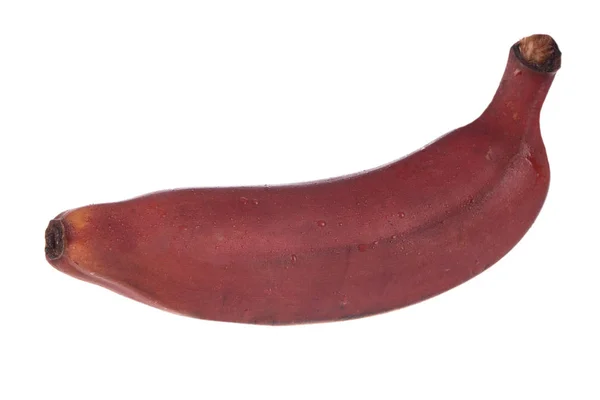 Banana Vermelha Isolada Sobre Fundo Branco — Fotografia de Stock