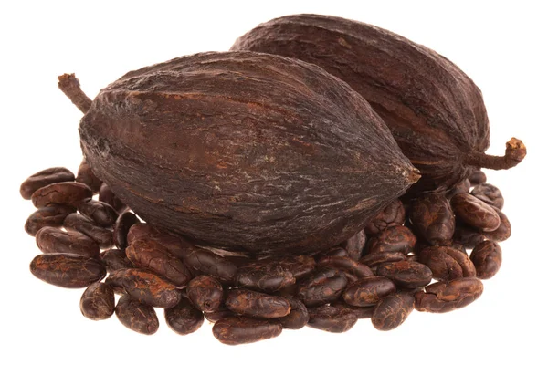 Organic Cocoa Background Close — Stock Photo, Image