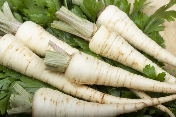 ahşap yüzeyüzerinde yaprakları ile maydanoz kökleri