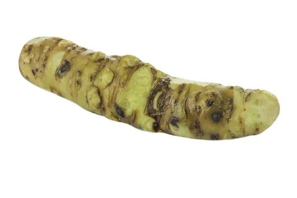 Wasabi Root Isolerad Vit Bakgrund Närbild — Stockfoto