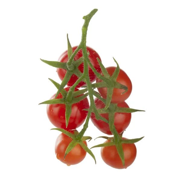Tomates Videira Isolados Sobre Fundo Branco — Fotografia de Stock
