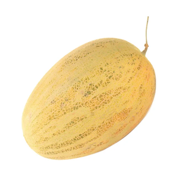 Melon Frukt Närbild — Stockfoto