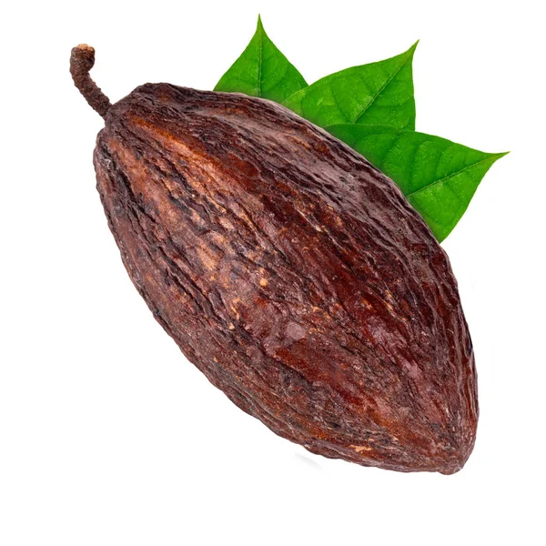 arka planda organik kakao, yakın