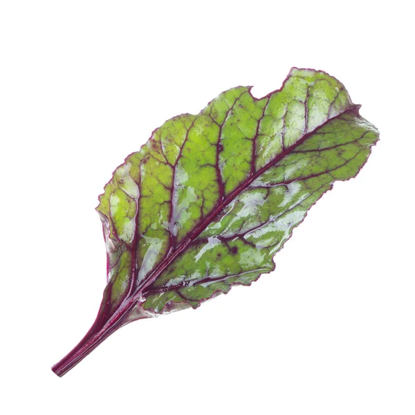 Salade Blad Geïsoleerd Witte Achtergrond — Stockfoto