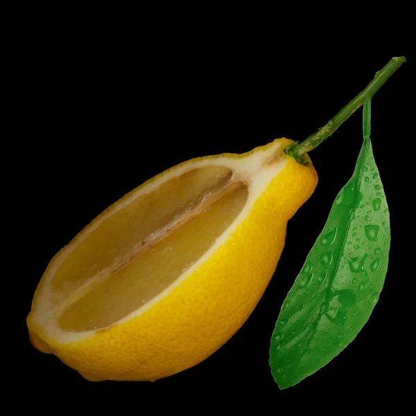 Ripe Citrus Background Close — Stock Photo, Image