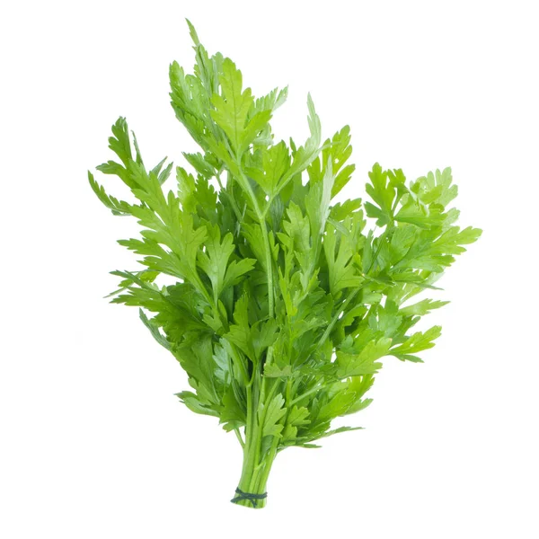 Fresh Green Parsley Isolated White Background — Stock Photo, Image