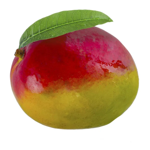 Fruta Madura Mango Cerca — Foto de Stock