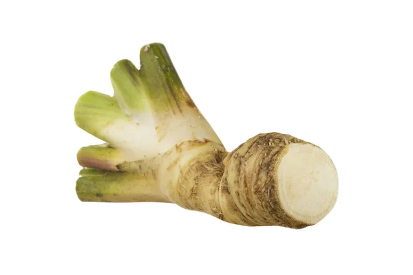 Vegetable Roots Isolated White Background Stock Picture