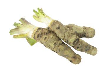 beyaz arka plan üzerinde izole wasabi kökleri, yakın çekim  