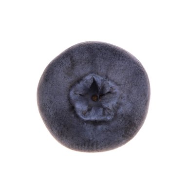 Beyaz arka plan üzerinde izole bir yaban mersini