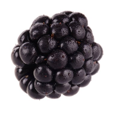 Beyaz arka plan üzerinde izole bir böğürtlen