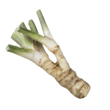 beyaz arka planda izole sebze kökleri