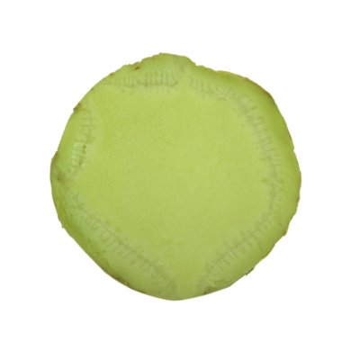 arka planda aromatik bitki, yakın