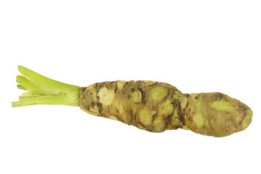 beyaz arka planda izole wasabi kökü, yakın çekim  