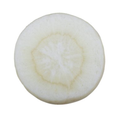 maydanoz kökü dilimi beyaz arka plan üzerinde izole