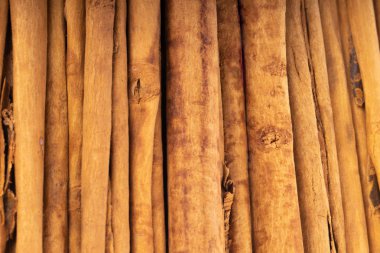 arka planda aromatik bitki, yakın