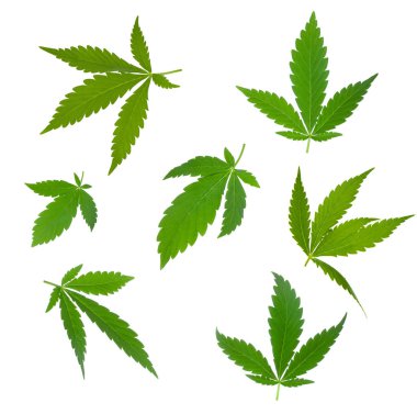 arka planda esrar ot, yakın