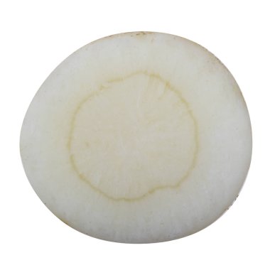 maydanoz kökü dilimi beyaz arka plan üzerinde izole